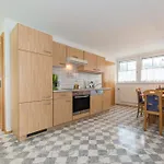 Apartment Fewo Steiner Tropolach