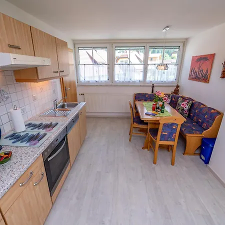 Steiner Apartament