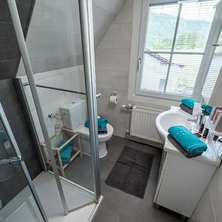 Apartament Steiner *
