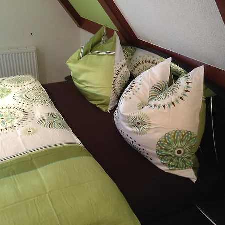 Steiner Apartament *